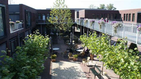 dementia village in netherlands